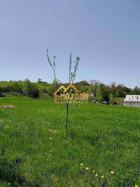 Widokowa działka w Bieszczadach - blisko Sanu!