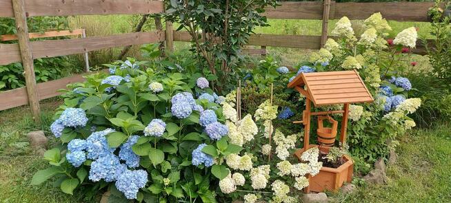 Sprzedam działkę rekreacyjną