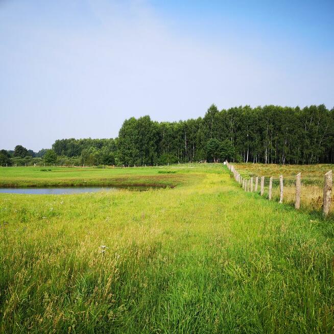 Działki budowlane w Kretowinach nad jeziorem Narie.
