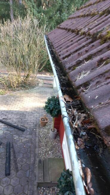 Pracowity człowiek szuka pracy, Ogrodnik, Pielęgnacja ogrodu