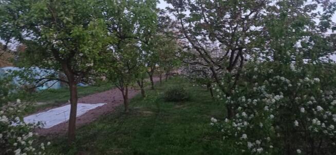 Dom jednorodzinny Wilkołaz