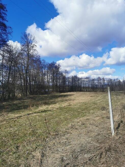 Piękna działka z linią brzegową przy lesie, Grabnik