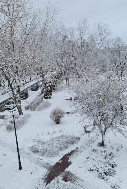 Kraśnik 48,8 m2 z pięknym widokiem na 2 parki, Sikorskiego 5