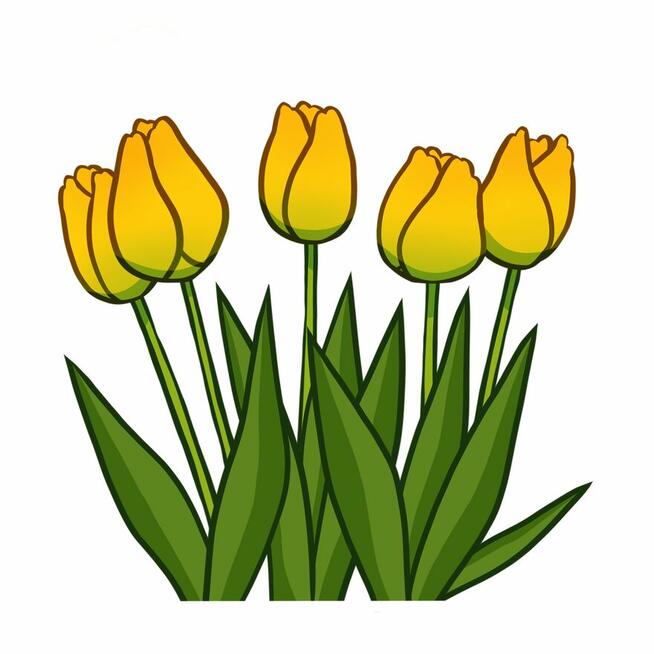 Szukam sprzatania