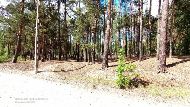 Działka budowlana 1270m Wołomin ok Sasina Lwowska