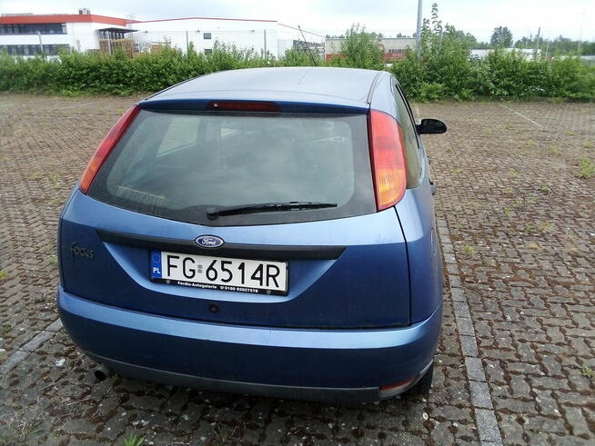 Ford Focus 1.4 benzyna.