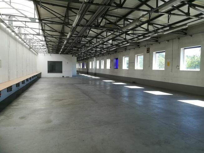 Wynajmę halę usługowo-produkcyjną 2125,9m2 Słupia pod Bralin