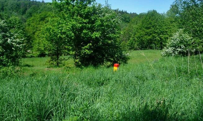 Dwie działki rolne w Pakoszówce, 10 min. od Sanoka