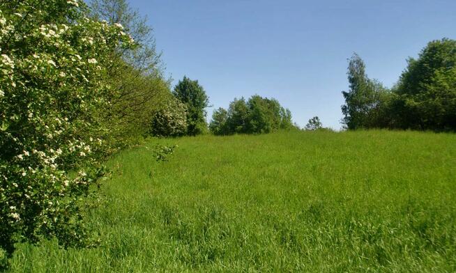 Dwie działki rolne w Pakoszówce, 10 min. od Sanoka