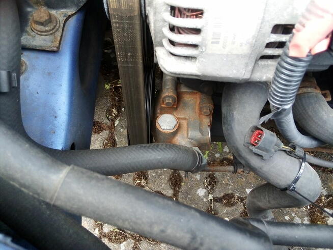 Ford Focus 1.4 benzyna.