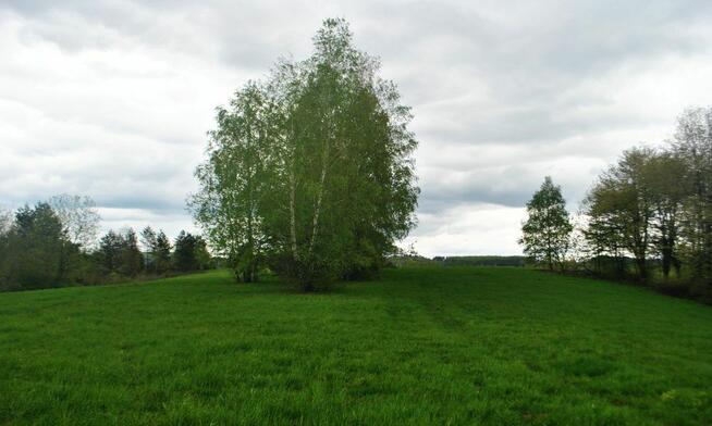 Działka rolna w Górzance, 5km od Jeziora Solińskiego