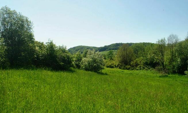 Dwie działki rolne w Pakoszówce, 10 min. od Sanoka