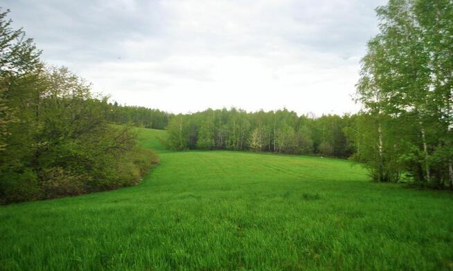 Działka rolna w Górzance, 5km od Jeziora Solińskiego