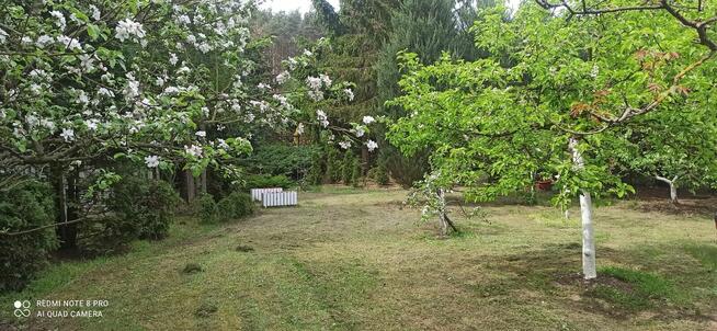 ODSTĄPIĘ DZIAŁKE ROD LEDNOGÓRA