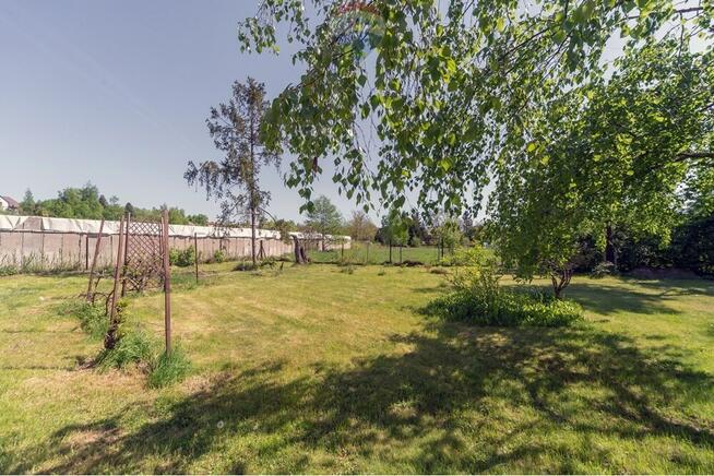 BLACK WEEKS - Dom lub biuro z dużym ogrodem