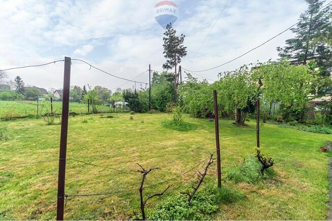 BLACK WEEKS - Dom lub biuro z dużym ogrodem