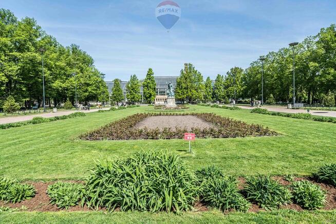 Mieszkanie w sercu Łazarza |przy Parku Wilsona