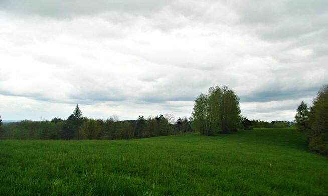 Działka rolna w Górzance, 5km od Jeziora Solińskiego