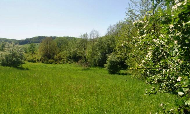 Dwie działki rolne w Pakoszówce, 10 min. od Sanoka