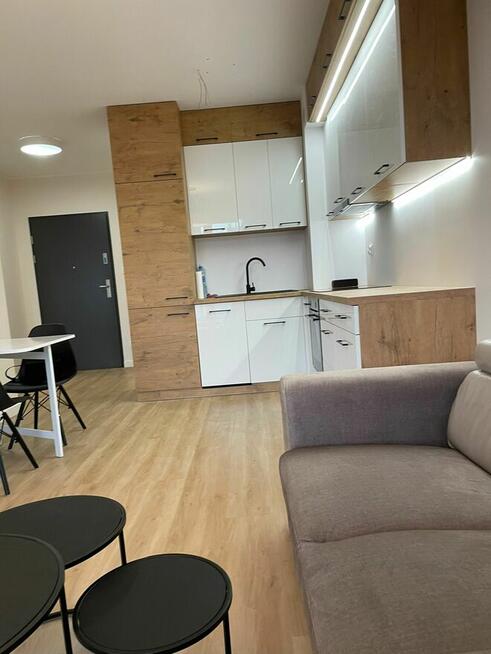 Wynajmę 2 pokojowe mieszkanie w Straszynie