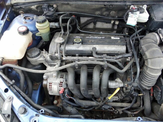 Ford Focus 1.4 benzyna.