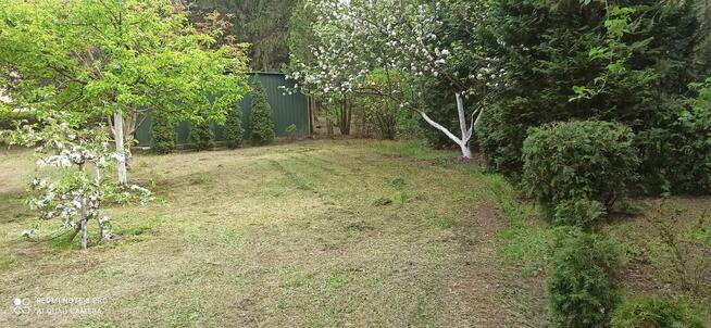 ODSTĄPIĘ DZIAŁKE ROD LEDNOGÓRA