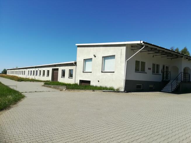 Wynajmę halę usługowo-produkcyjną 2125,9m2 Słupia pod Bralin