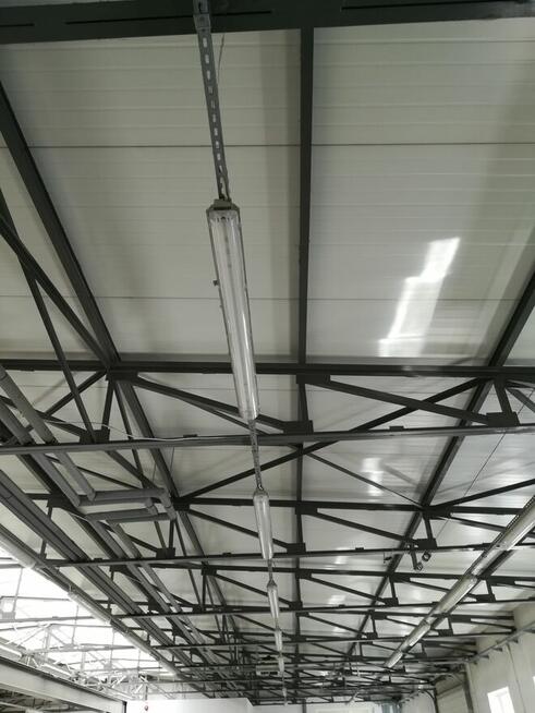 Wynajmę halę usługowo-produkcyjną 2125,9m2 Słupia pod Bralin