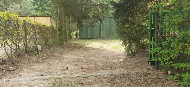 ODSTĄPIĘ DZIAŁKE ROD LEDNOGÓRA