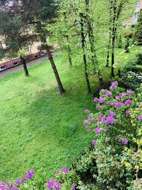 Wynajmę mieszkanie na I Brygady