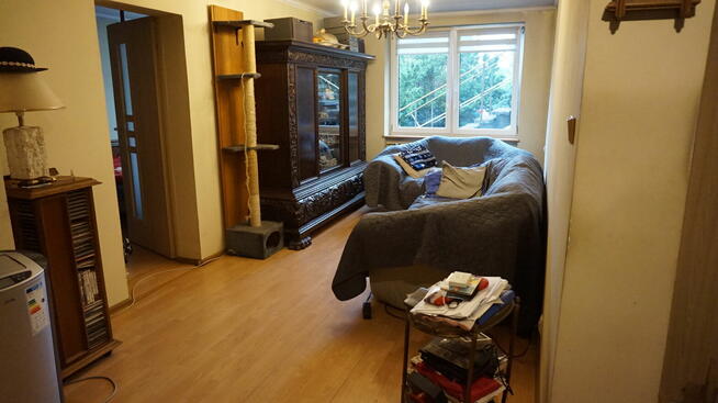 Dom x2 w Gorzowie Wielkopolskim