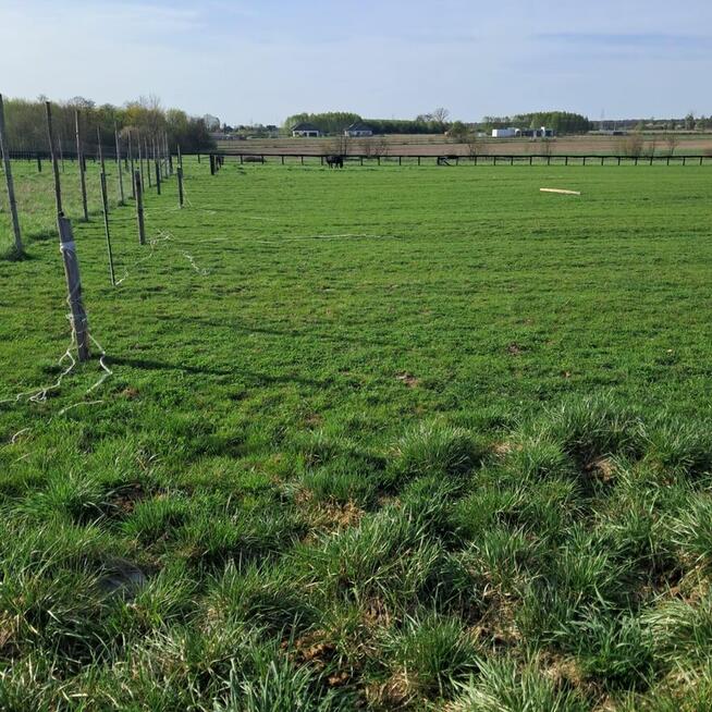 Na sprzedaż działka budowlana z warunkami zabudowy Eufeminów