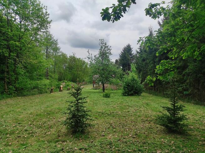 OKAZJA! Działka z zabudowaniami w Izbiskach