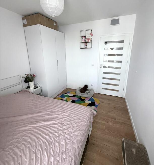 3 Pokoje | Bezposrednio, bez prowizji | Pets Friendly |