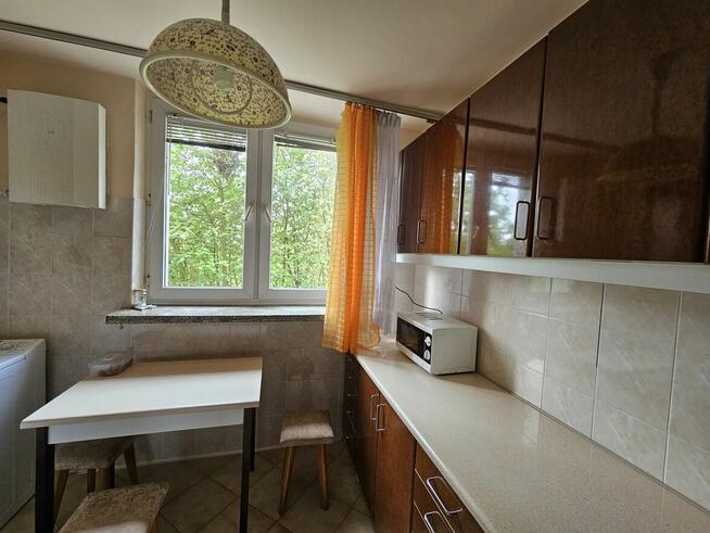 LSM Irydiona Pokój - salon 23m2 dwuosobowy lub jednoosobowy