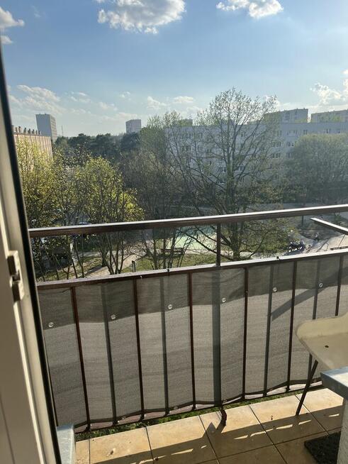 Wynajmę mieszkanie od zaraz