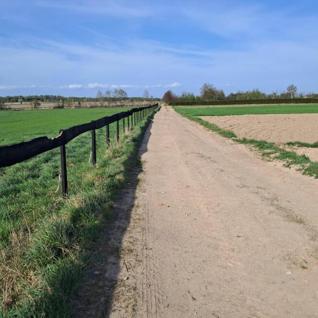 Na sprzedaż działka budowlana z warunkami zabudowy Eufeminów