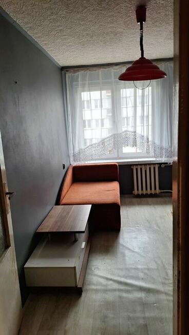Mieszkanie do wynajęcia