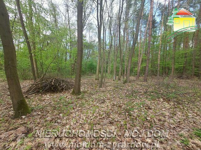 Działka budowlana Olszanka gm. Puszcza Mariańska