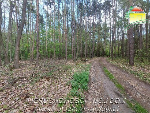 Działka budowlana Olszanka gm. Puszcza Mariańska