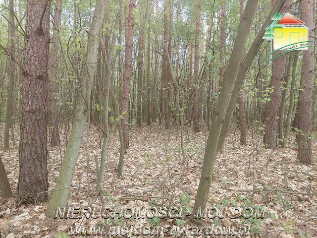 Działka budowlana Olszanka gm. Puszcza Mariańska