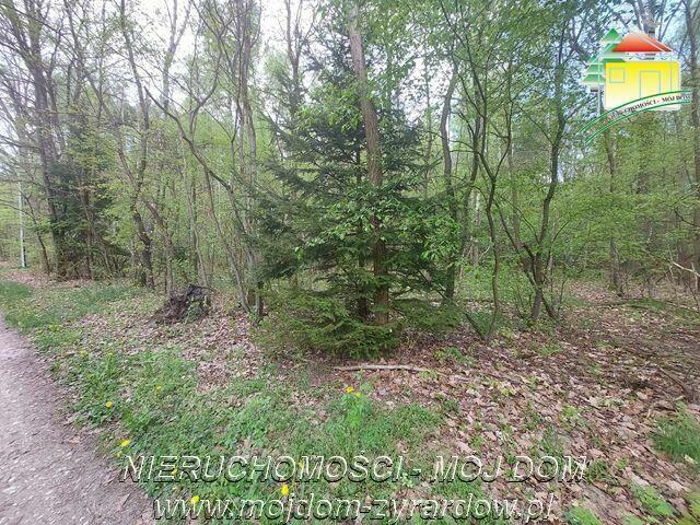Działka budowlana Olszanka gm. Puszcza Mariańska