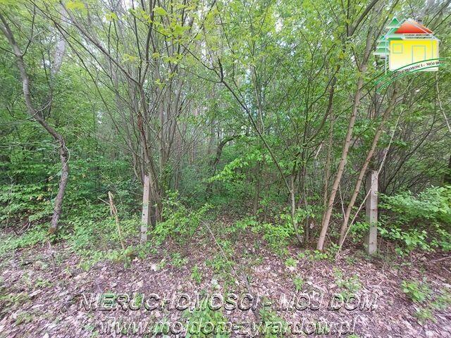 Działka budowlana Olszanka gm. Puszcza Mariańska