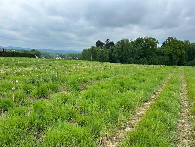 Działka budowlana Frydrychowice gm. Wieprz
