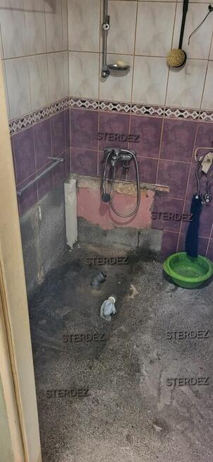 Sprzątanie i dezynfekcja po zgonie