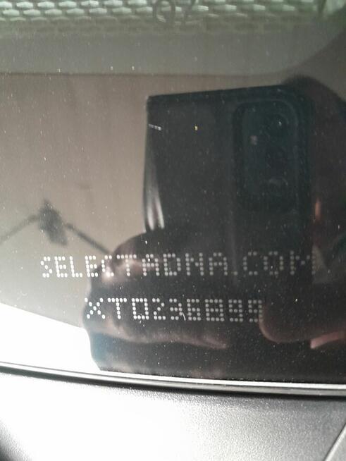 Toyota Corolla kombi