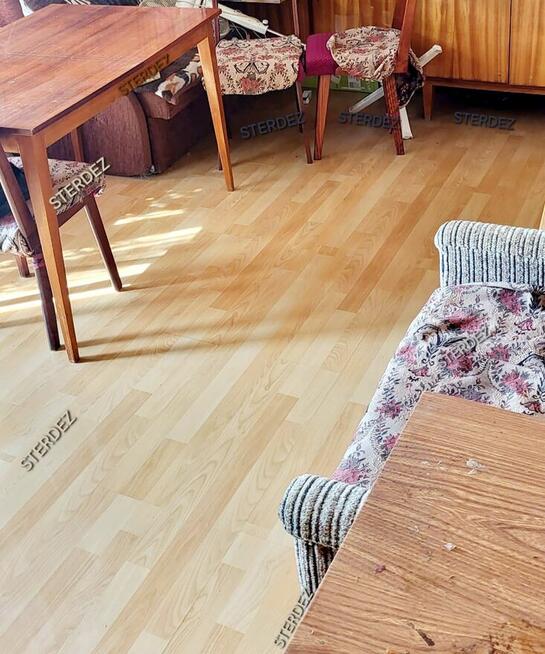Sprzątanie i dezynfekcja po zgonie