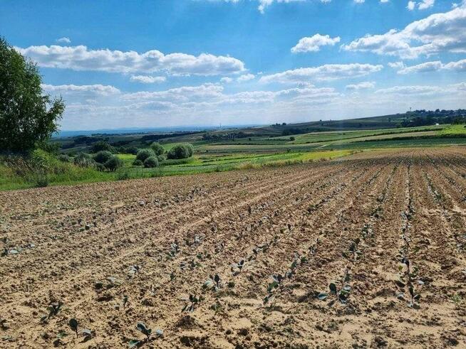 Działka budowlana o powierzchni 2513 m2 w Biórkówie Małym