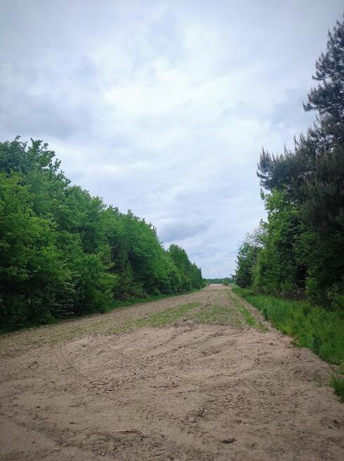 OKAZJA! Działka z zabudowaniami w Izbiskach