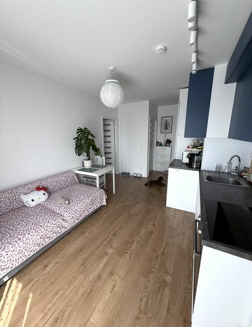 3 Pokoje | Bezposrednio, bez prowizji | Pets Friendly |